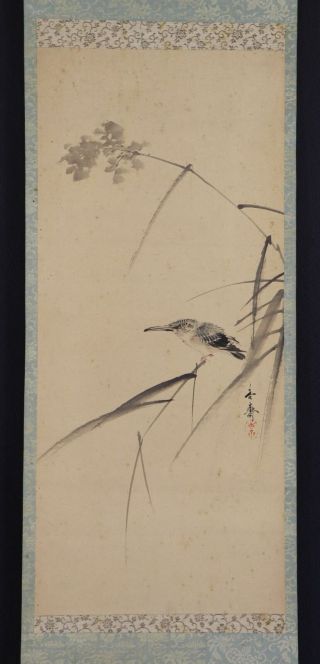 Japanese Hanging Scroll Art Painting " King Fisher " Oda Kyosai E3767