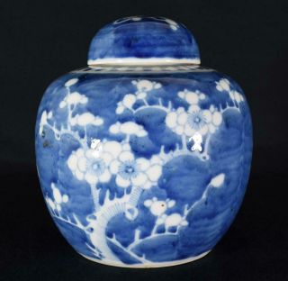 Antique 19thc Chinese Porcelain Ginger Jar Pot Prunus Blossom Pattern