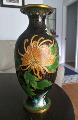 Vintage 9 " Chinese Cloisonne Black Enamel Chrysanthemum/butterfly Floral Vase