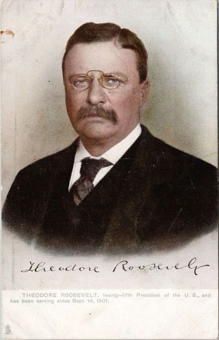 Theodore Roosevelt Teddy United States President Tuck Postcard G26
