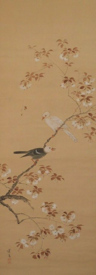 2530 Japanese Hanging Scroll: Bird On Cherry Tree