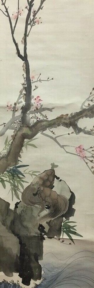 Japanese Hanging Scroll Kakejiku Hand Paint Silk Turtle Plum Tree Antique Z409
