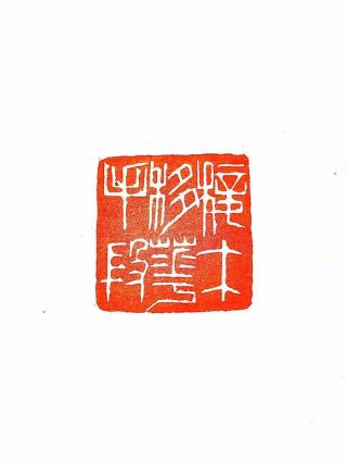 Chinese Stone Hand Carved Seal Stamp 接木移花手段
