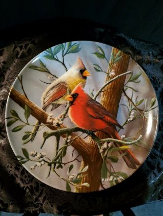 The Cardinal Plate Encyclopaedia Britannica Birds Kevin Daniel Edwin Knowles