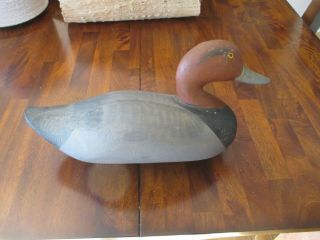 Vintage Paul Gibson Signed Canvasback Duck Decoy Hunting Bird 14 "