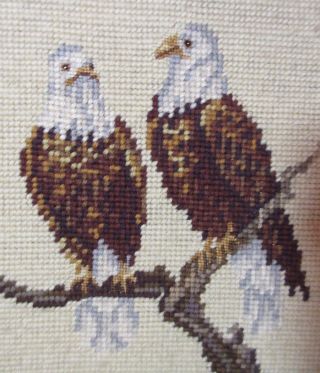 vintage hand embroidered patriotic American bald eagle baby bird needlepoint art 3