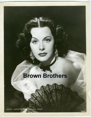 Vintage 1930s Hollywood " Ecstacy " Actress Hedy Lamarr Black Lace Fan Photo Bb
