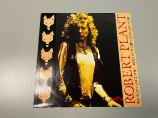 Robert Plant - Your Ma Said You Cried In Your Sleep Last Night 1990 Vinyl Lp