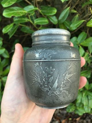 Fine Antique Chinese Paktong Pewter Tea Caddy Box And Cover Flask Signed Rare