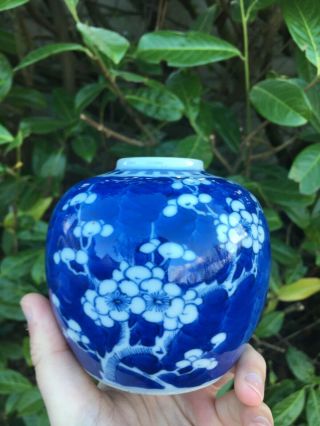 Antique Chinese Porcelain Ginger Jar Kangxi Qing Blue And White Prunus Blossom