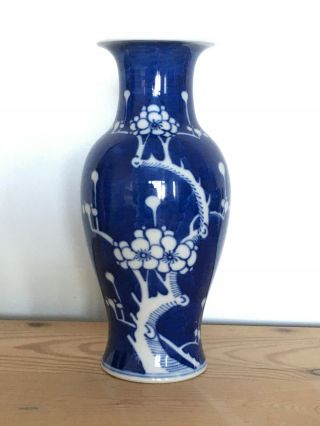 Fine Prunus Chinese Porcelain Blue White Vase Kangxi Double Ring Mark