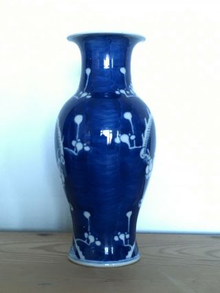 Fine Prunus Chinese porcelain blue white vase Kangxi double ring mark 2