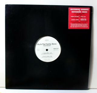 Sly & The Family Stone Different Strokes By Different Folks Promo 12 " Vinyl