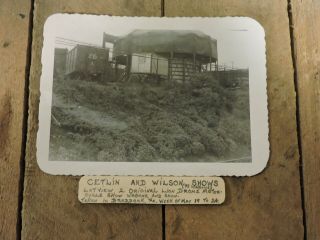 Circus Photo,  Cetlin & Wilson Shows,  2 Lion Drome Wagons,  Braddock,  Pa.