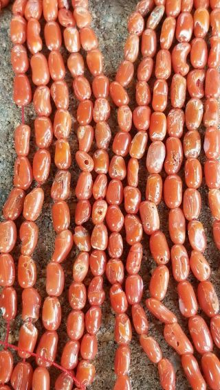 Rare 100 Inches Of Natural Mediterranean Sea Coral Vintage Rice Beads