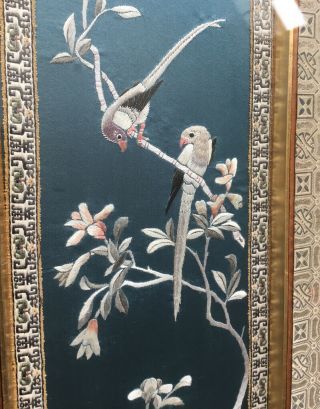 ANTIQUE CHINESE SILK EMBROIDERED EMBROIDERY FRAMED PANEL PARROTS BIRDS 3