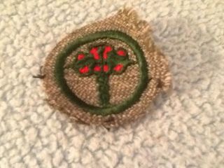 Health Winner 1930s Girl Scout Gray Green Round Badge Medical Caduceus Patchked