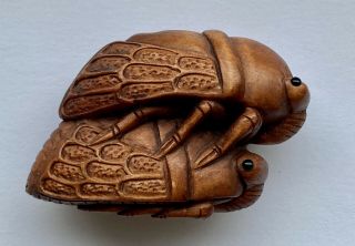 Boxwood Netsuke Hand Carved Cicadas Signed Estate