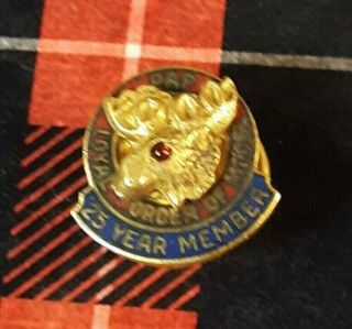 Loyal Order Of Moose Vintage Lapel Pin,  Screw Back,  25 Year Member