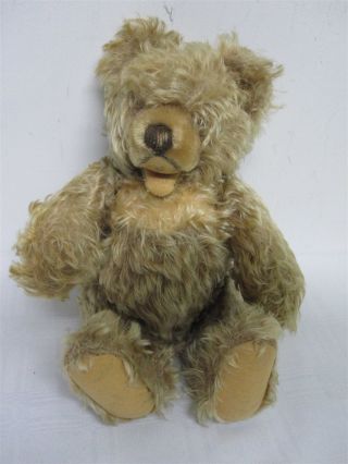 Vintage German Steiff Soft Furry Blonde " Zotty " Teddy Bear 13 "