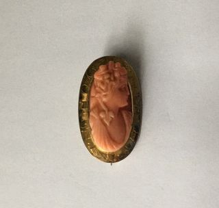Small Old Antique Vintage High Relief Carved Coral Gold Cameo Brooch