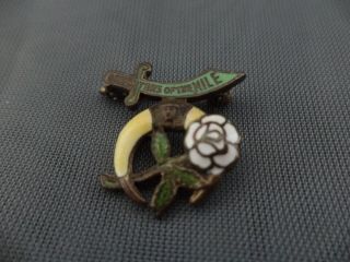 Vintage Daughters Of The Nile Fraternal Masonic Shriner Ladies Lapel Pin