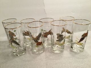 Vintage Mcm 60s Ned Smith Game Birds High Ball Glasses 5.  5 Tumblers Bar Set 8
