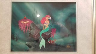 The Little Mermaid Ariel Disney Limited Edition Cel Under The Sea
