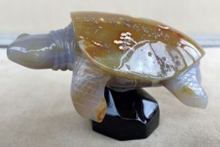 Sea Turtle Carved From Brazilian Agate 3.  1/4 "