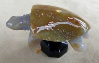 Sea Turtle Carved From Brazilian Agate 3.  1/4 