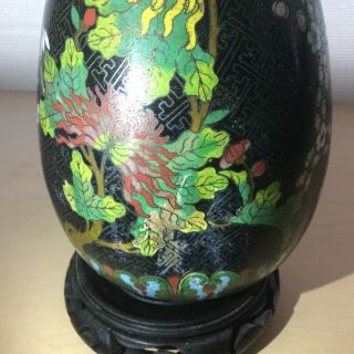 Black Antique Cloisonné Floral Blossom Vase 9 1/2 ' 3