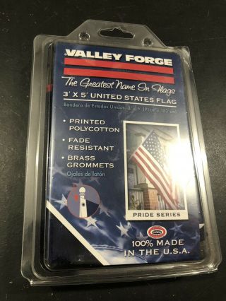Valley Forge Us American Flag 3 