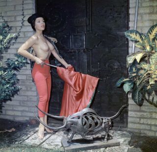 Bunny Yeager Estate 1960 Color Camera Transparency Topless Model Is A Taurus Wow