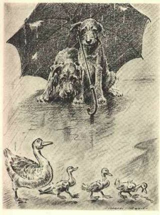 Morgan Dennis Dog Art Print Irish Terriers And Ducks In The Rain Vintage 1946