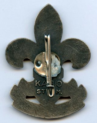 Sweden Swedish Scout Union Pin Plastic Badge Grade 2
