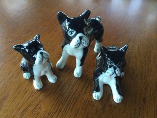 3 Vintage Miniature Boston Terrier Puppy Dog Figurine Bone China