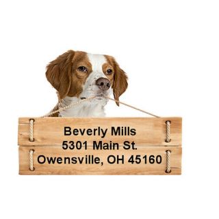 Brittany Return Address Labels Die Cut To Shape Of Dog And Sign