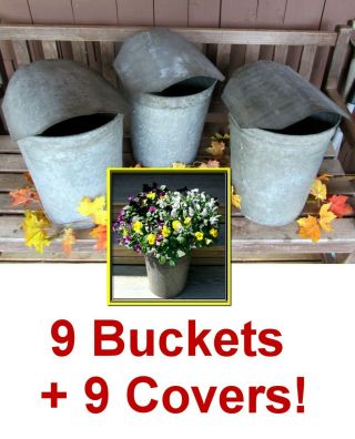 9 Vintage Vermont Maple Sap Buckets,  Covers Rustic Farmhouse Storage & Gardens