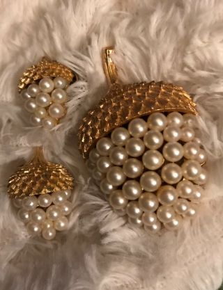 Vintage Crown Trifari Acorn & Faux Pearl Gold Tone Brooch and Clip Earrings 2