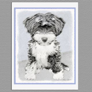 6 Tibetan Terrier Puppy Dog Blank Art Note Greeting Cards