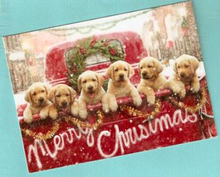 Labrador Retriever Lab Pups Red Pickup Truck Christmas Cards Box Of 14 Made Us^