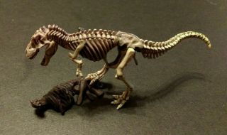 Rare Kaiyodo Dinotales Uha Series 4 Dinosaur T Rex Tarbosaurus Skeleton Figure