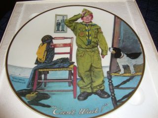 Boy Scouts Collector Plates " Can 
