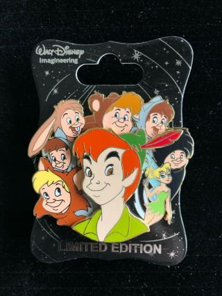 Wdi Character Cluster Limited Edition Le 250 Disney Pin - Peter Pan