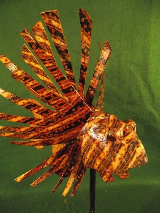 Vintage Style Tatty Lion Zebra Turkey Fish Coral Reef Display Art Sculpture