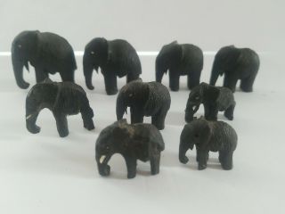 Rare Vintage Hand - Carved Wooden Figurines - Set Of 9 African Elephants Miniature