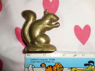 Vintage Brass Squirrel 2 Inches Tall Solid,  Heavy Collect It Now