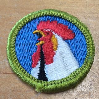 Boy Scouts Poultry Keeping Merit Badge Type G