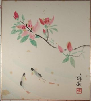 Us163 Shikishi Plant Flower Fish Animal Japanese Art Painting Nihonga Picture