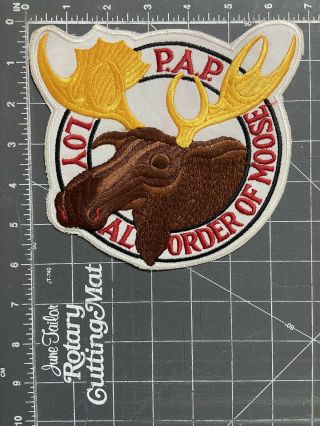 Vintage P.  A.  P.  Loyal Order Of Moose Patch International The Family Fraternity